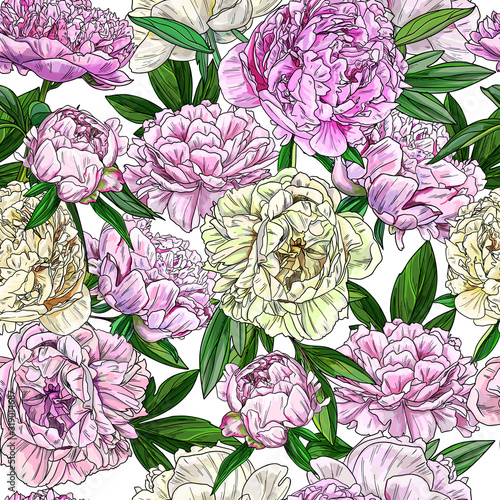 Pink peonies, seamless patter, full color sketch