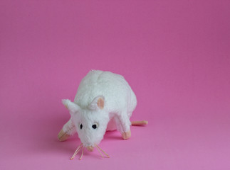 Acrylglasbilder Tierarzt Plüschmaus auf rosa Hintergrund  © Elen Ga