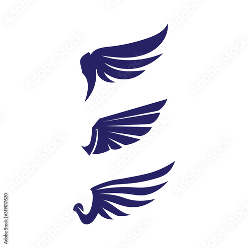 Fototapeta Naklejka Na Ścianę i Meble -  Falcon Wings Logo Template vector icon logo design app