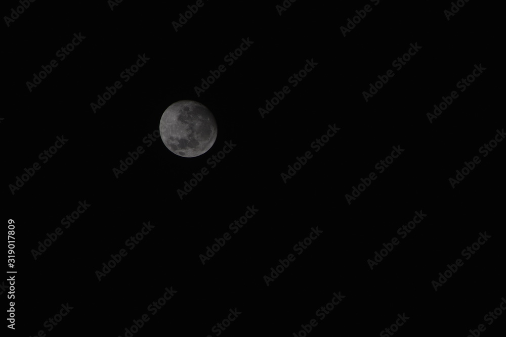 SELENE SELENE