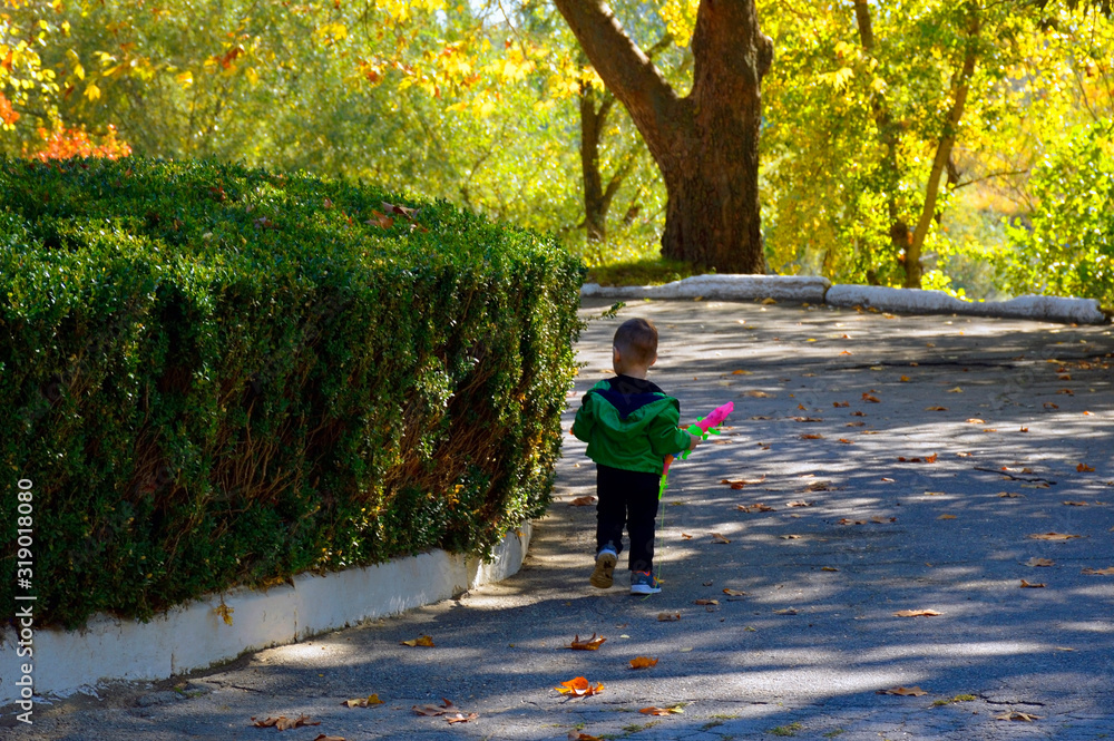 Fototapeta premium little boy walks in the autumn park. beauty in nature