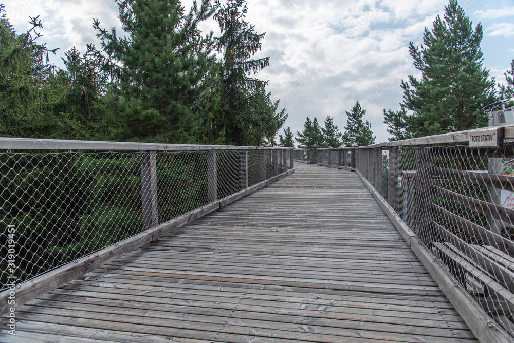 Treetop Walkway lignting, Sightseeing trail in tree crowns.