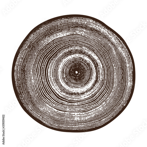 Monotone wood texture stamp. Detailed tree ring design. Rough organic tree rings with close up of end grain.