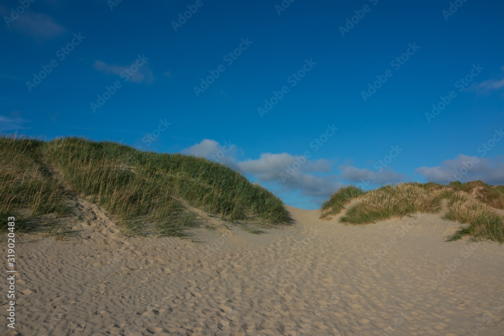 beautiful dunes image with beach grass, dune background, holiday feeling beautiful dunes image with beach grass, dune background, holiday feeling