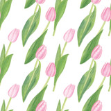 Watercolor Pink Tulips with Green Leaves Seamless Pattern. Isolated Flowers on White Background. For Cards, Textile, Invitations, International Women's Day, 8th March, Spring and Summer Theme.