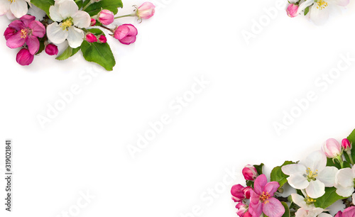 Fototapeta Naklejka Na Ścianę i Meble -  Flowers apple tree, pink and white blossom on a white background with space for text. Top view, flat lay