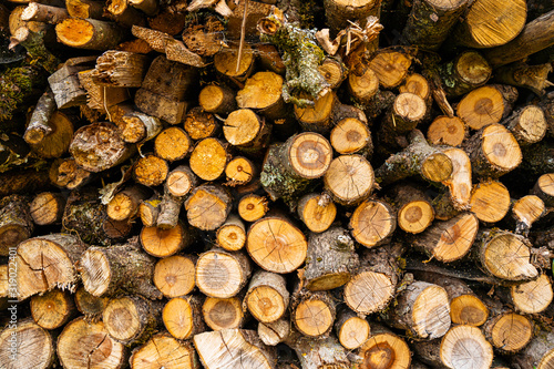 A pile of stacked firewood. Deforestation background