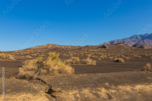 View of the Death Valley National Park  Big Pine  California  USA.