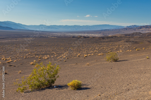 View of the Death Valley National Park, Big Pine, California, USA. photo