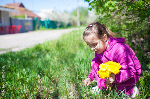 Girl in pink costume sitting on grass and collecting blooming yellow dandelion flowers on green nature on summer sunny clear day. Happy childhood concept © YouraPechkin