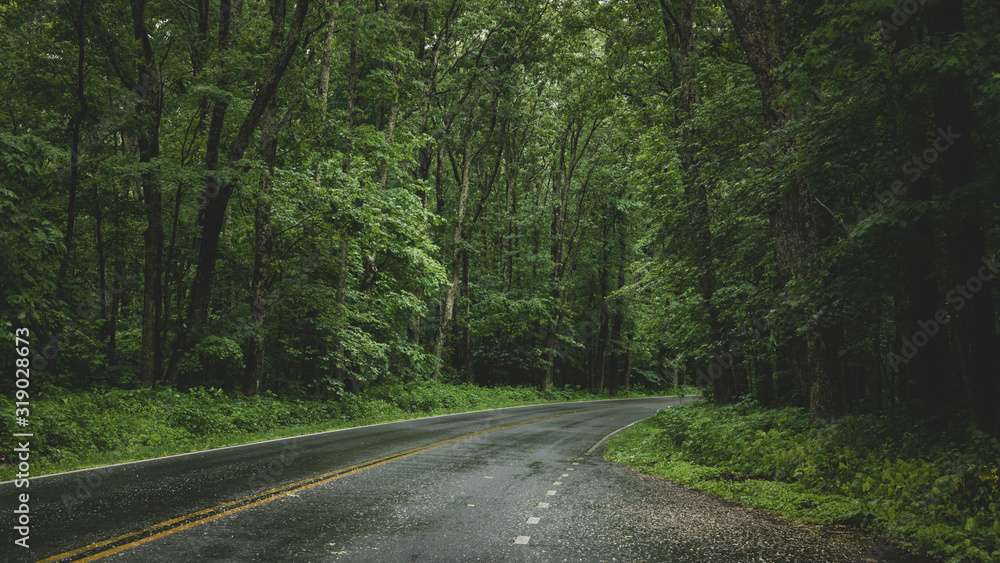 rainy road