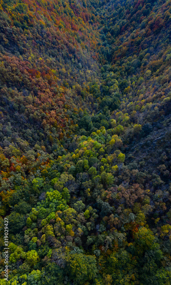 Forest in autumn in the Monastery of Valvanera, La Rioja, Spain, Europe Forest in autumn in the Monastery of Valvanera, La Rioja, Spain, Europe