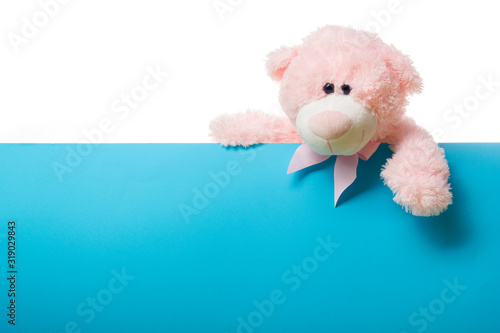Cute teddy bear pink on color background with copy space © Roman Motizov
