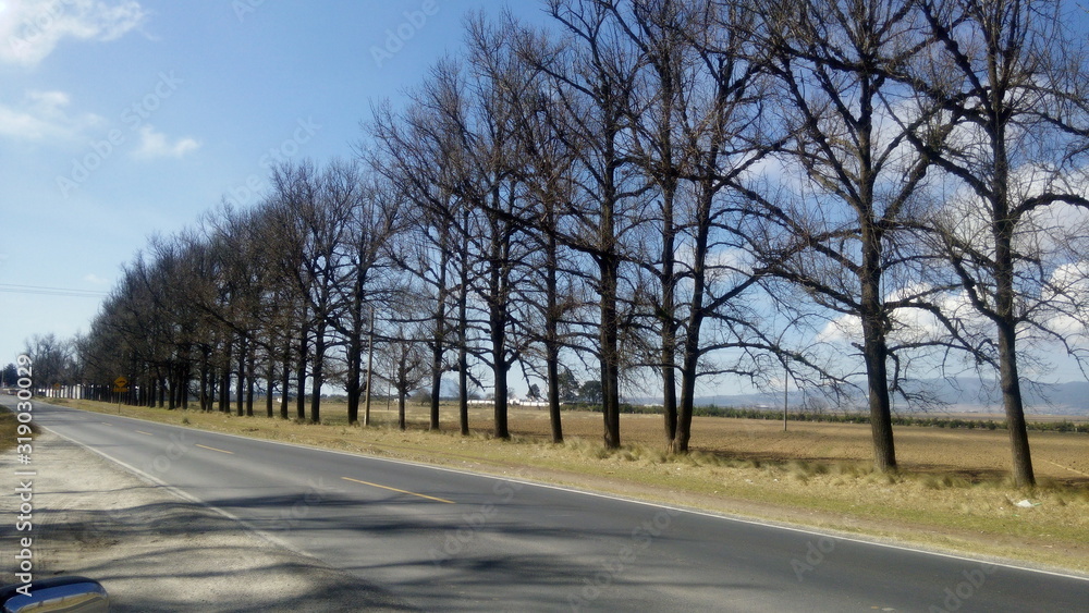 Fototapeta premium Threes_01