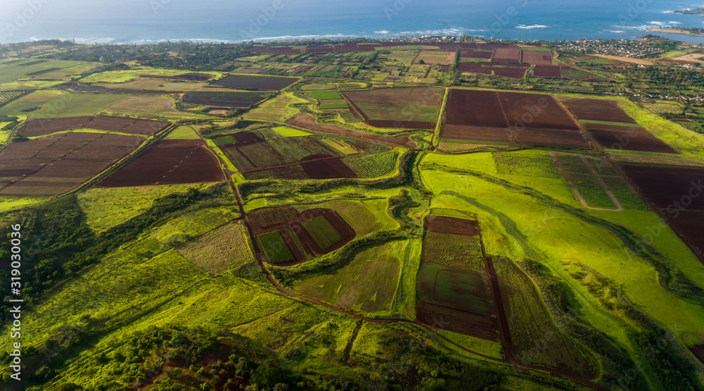 Φωτογραφία Aerial view of farmland along the coast of the north shore of Oahu Hawaii