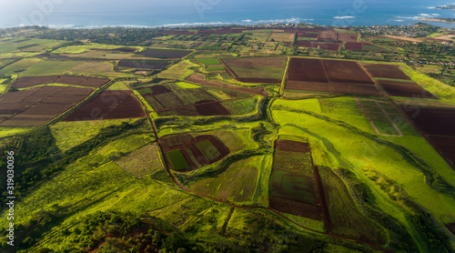 Aerial view of farmland along the coast of the north shore of Oahu Hawaii