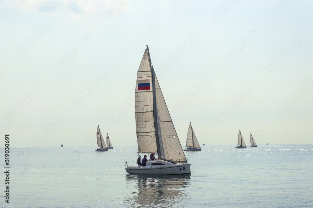 sailing on the sea