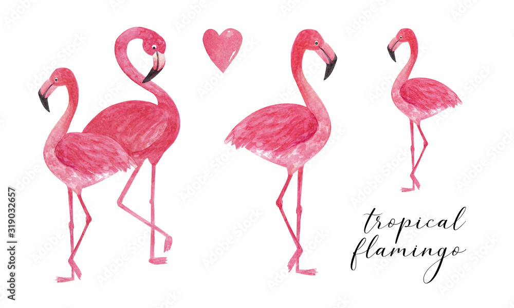 Obraz premium Tropical collection watercolor flamingo. Beautiful hand drawn illustrations for decoration, print, posters, textile design, postcard. Isolated on white background