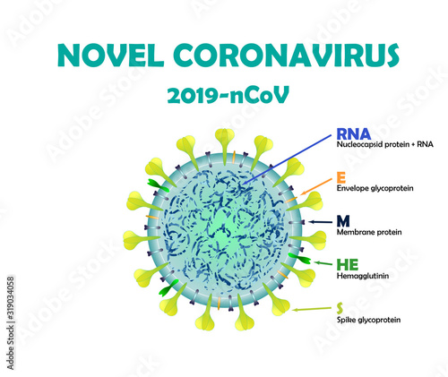 Corona Virus Novel Coronavirus on white background 2019-nCoV