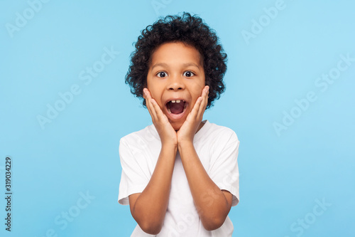 Oh my god, wow! Portrait of funny amazed preschool boy looking at camera with shocked astonished expression and keeping hands on face, screaming in surprise. studio shot isolated on blue background