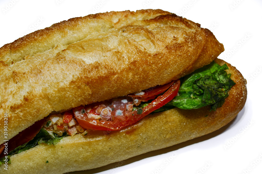 Spoiled sandwich, rotten moldy inedible expired food, isolated on white background Spoiled sandwich, rotten moldy inedible expired food, isolated on white background