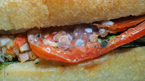 Принти на полотні Close up spoiled sandwich, rotten moldy inedible expired food, isolated on white