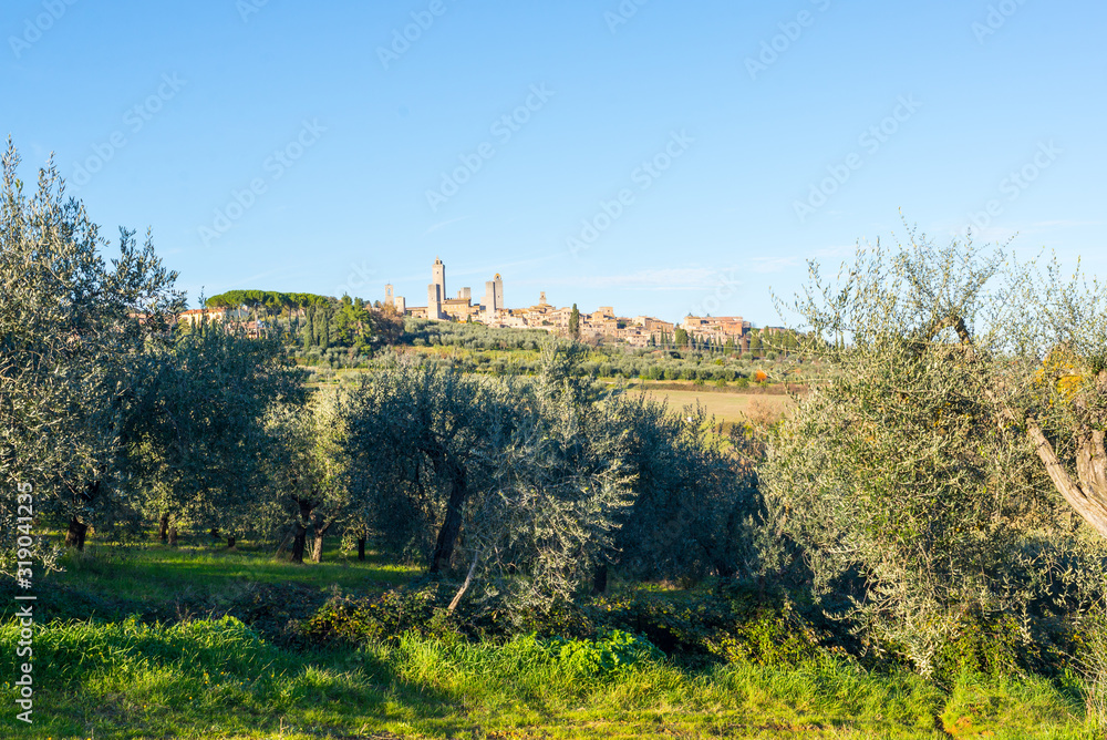 View of the Italian town of San Gimignano, a small walled medieval hill town in Tuscany known as the Town of Fine Towers. Tuscan landscape with hills and olive trees