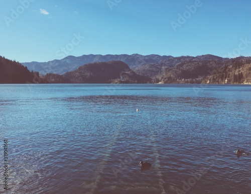 Bled lake landscape in Slovenia