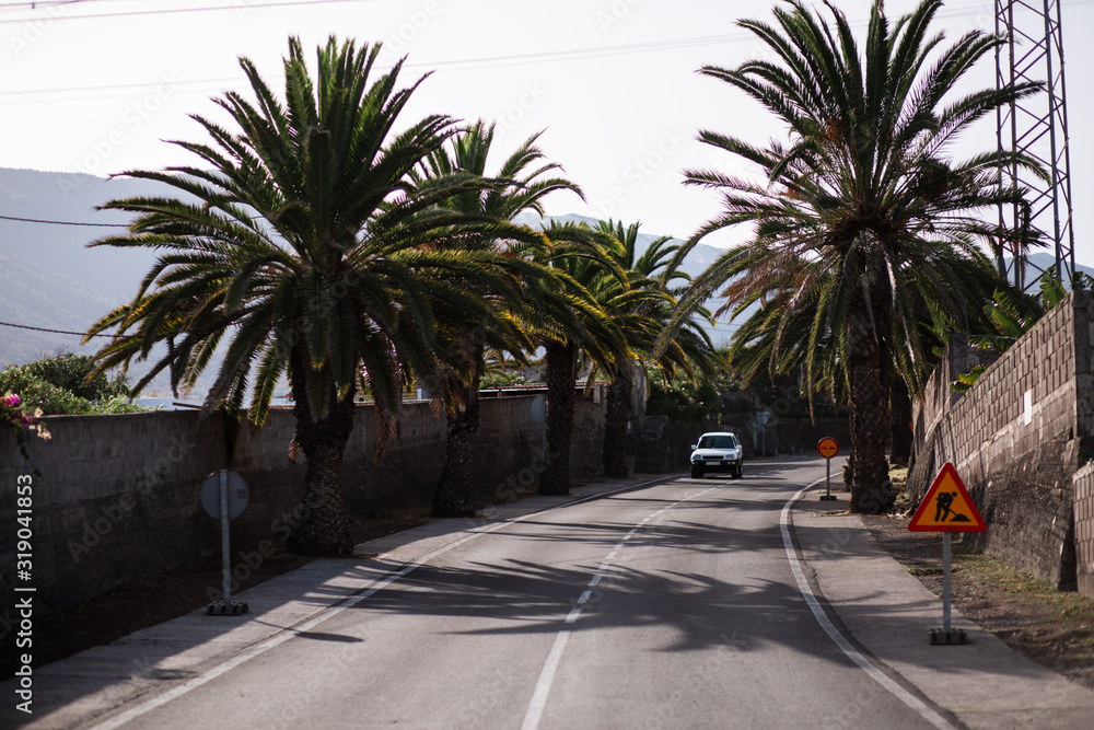 Fototapeta premium beautiful road in the Canary Islands