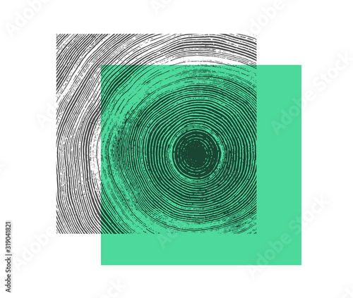 Blue teal wood texture block stamp. Detailed tree ring design. Rough organic tree rings with close up of end grain.