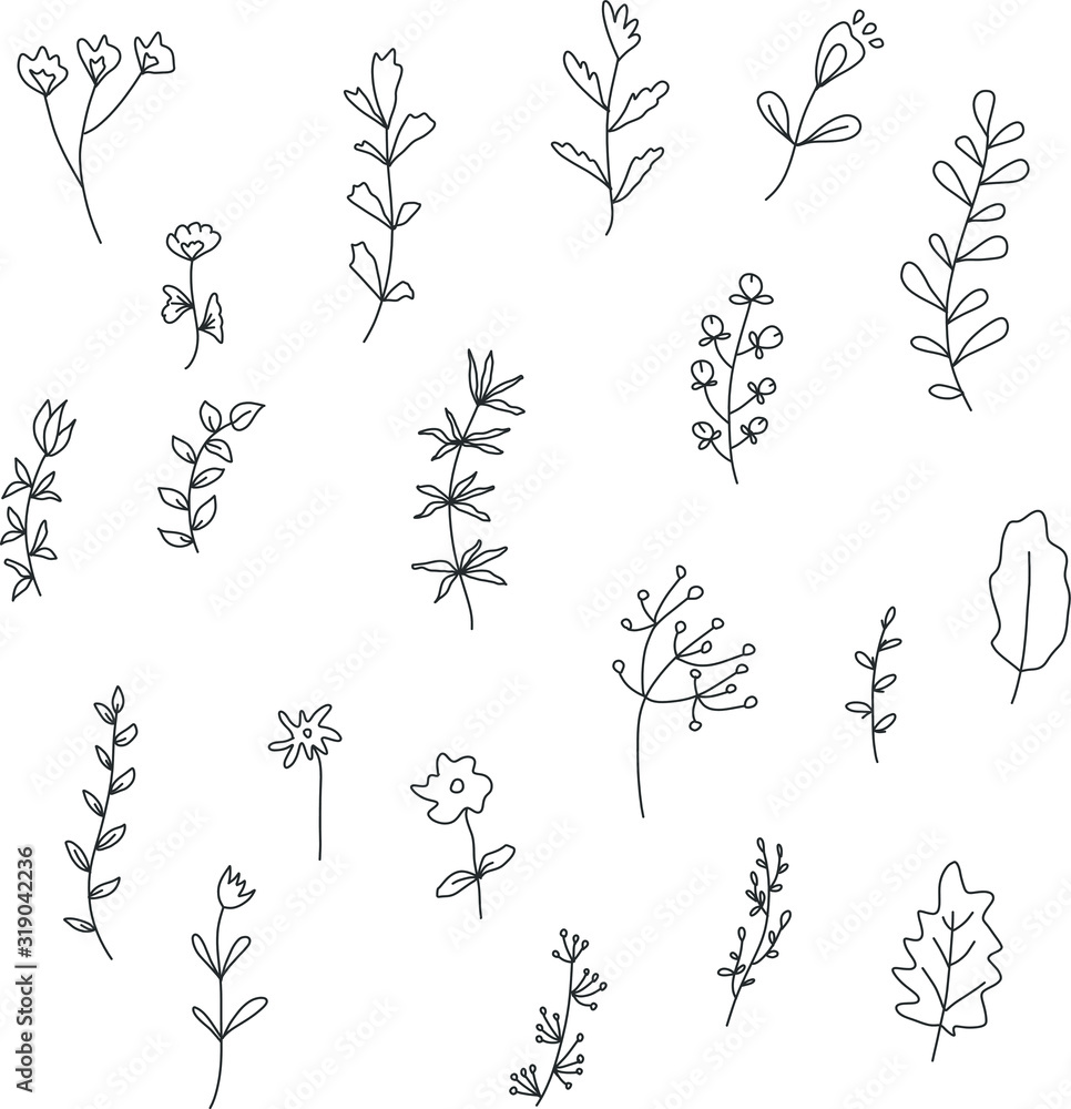 Floral and herbal set. Graphic collection with fantasy field herbs. Hand drawn elements. Botanical elements for design on a white background. Sketch of branch, foliage,leaves, berries.