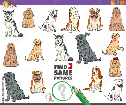 find two same purebred dogs task for kids