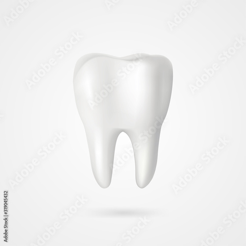 vector 3d tooth model for dental designs