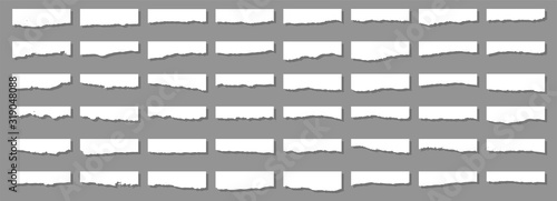 Torn paper. Tear paper. Piece of paper. Torn tetra. The wind. Illustration in a flat style on a light background.