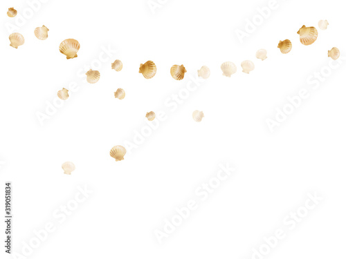 Gold seashells isolated, pearl bivalved mollusks