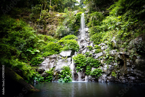 Flowing waterfall in a lush green rainforest