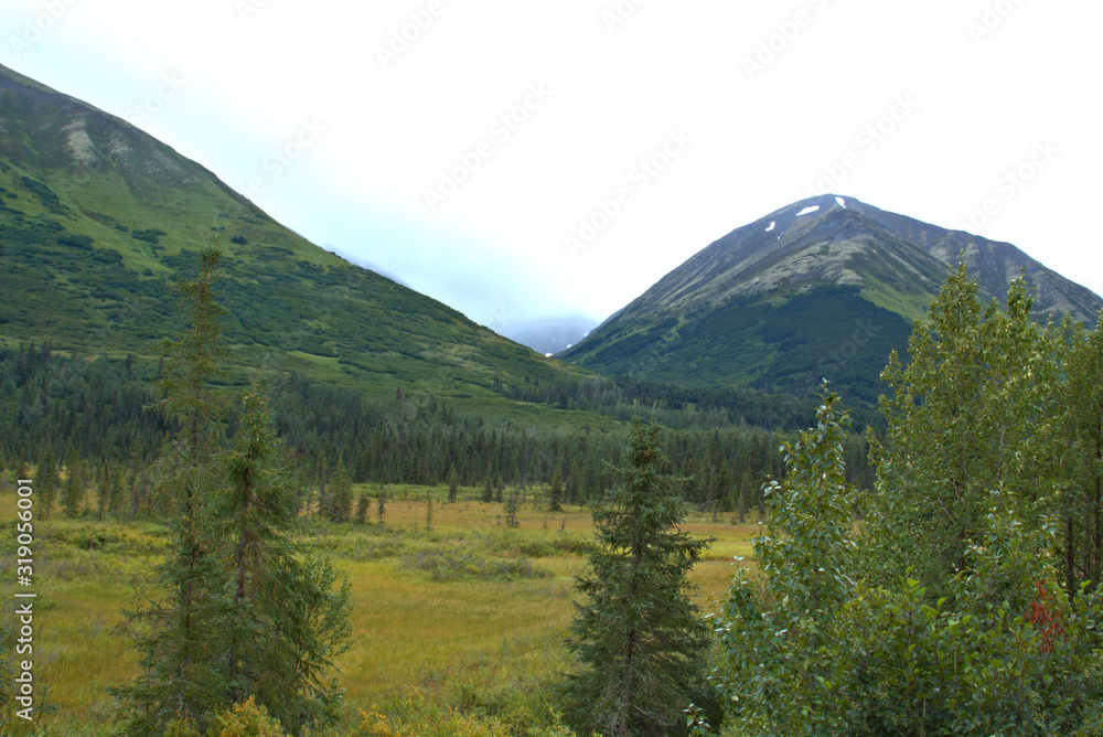 Alaska Landscape in Denali National Park Alaska Landscape in Denali National Park