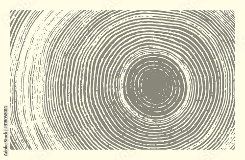 Monotone wood texture stamp. Detailed tree ring design. Rough organic tree rings with close up of end grain.