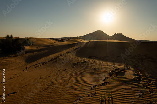 Scenic landscapes in Dubai desert on sunny day