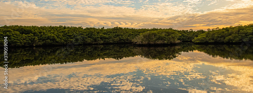 Mirrored Evening Clouds on the Loxahatchee River