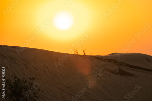 Scenic landscapes at Dubai desert during sunset