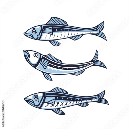 Set of Vector sardine. Icon badge fish for design seafood packaging and market