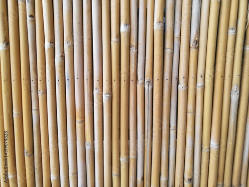 Fototapeta Full Frame Shot Of Bamboos