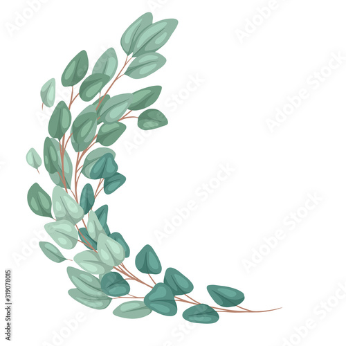 Frame with flat hand drawn eucalyptus populus and place for text. Engraving semicircular natural border with branches and foliage. Vector template for invitation, greeting cards and your design.