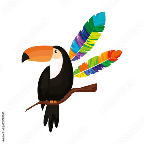 toucan animal with exotic feathers