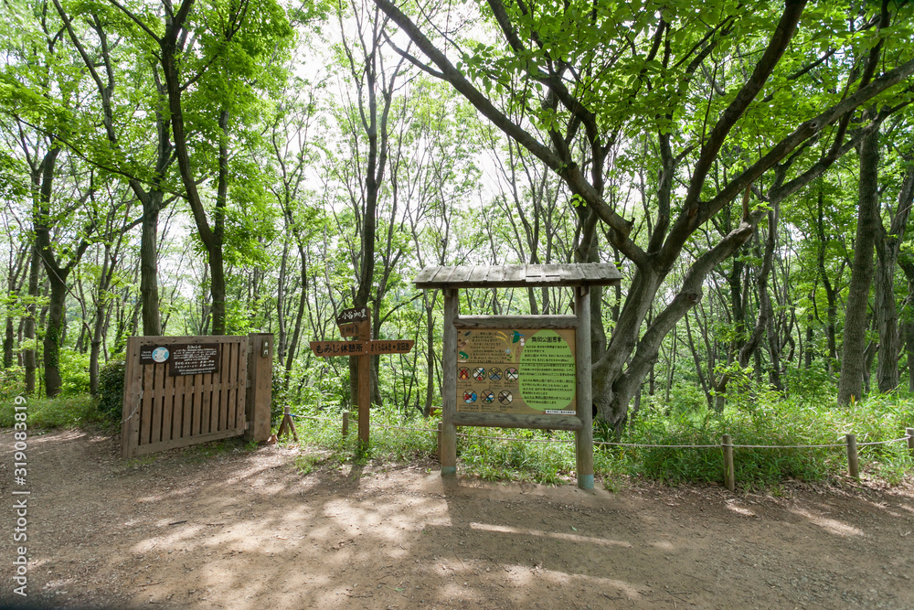 舞岡公園（横浜市戸塚区）