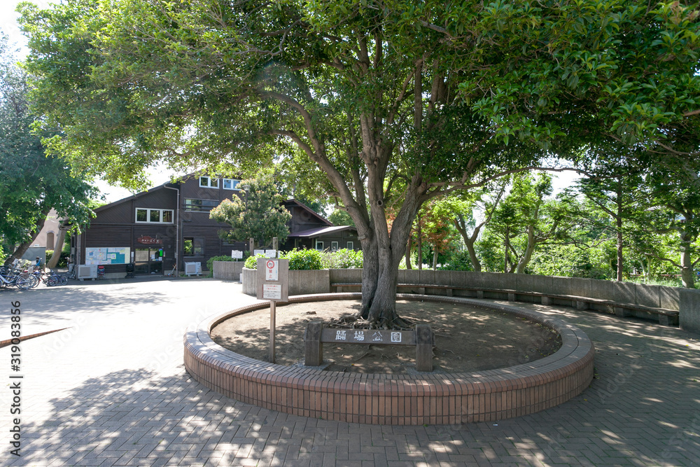 Obraz premium 踊場公園(横浜市戸塚区)