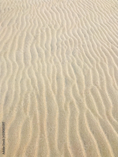 Beige Sand Pattern