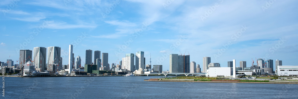 Tokyo waterfront skyline and Skytree with copy space 東京湾と湾岸沿いのビル群 背景 スカイツリー Tokyo waterfront skyline and Skytree with copy space 東京湾と湾岸沿いのビル群 背景 スカイツリー