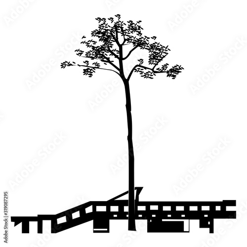 奇跡の一本松